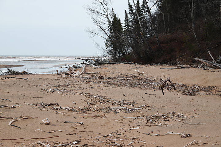Ponding area along beach.